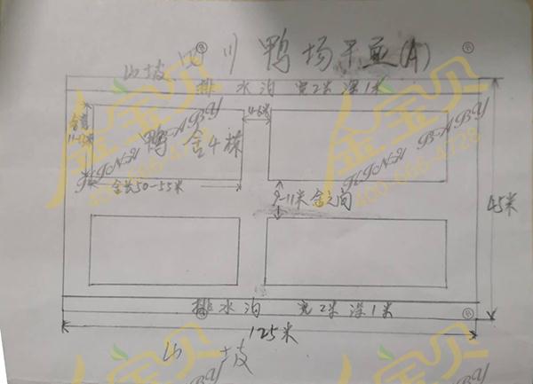 发酵床建设